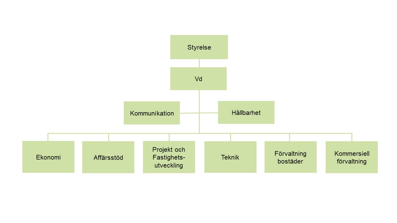 Org-schema till webb_240226_01.jpg